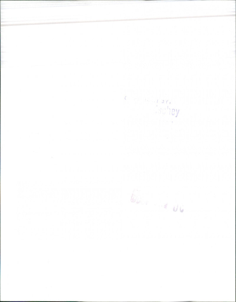 Nissan Micra - Vintage Photograph