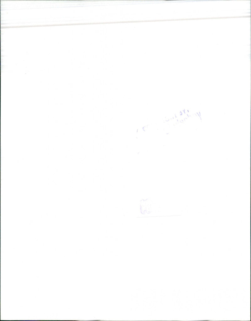 Nissan Micra - Vintage Photograph