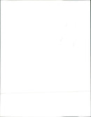 Fiat Uno - Vintage Photograph