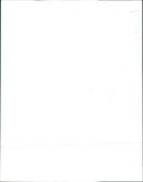 Fiat Uno - Vintage Photograph