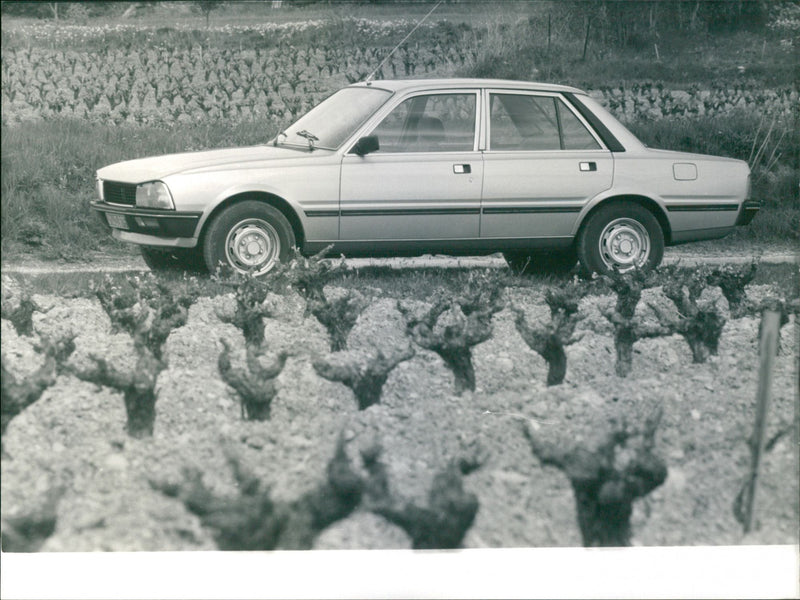 Peugeot 505 STI - Vintage Photograph