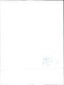 Peugeot 505 STI - Vintage Photograph