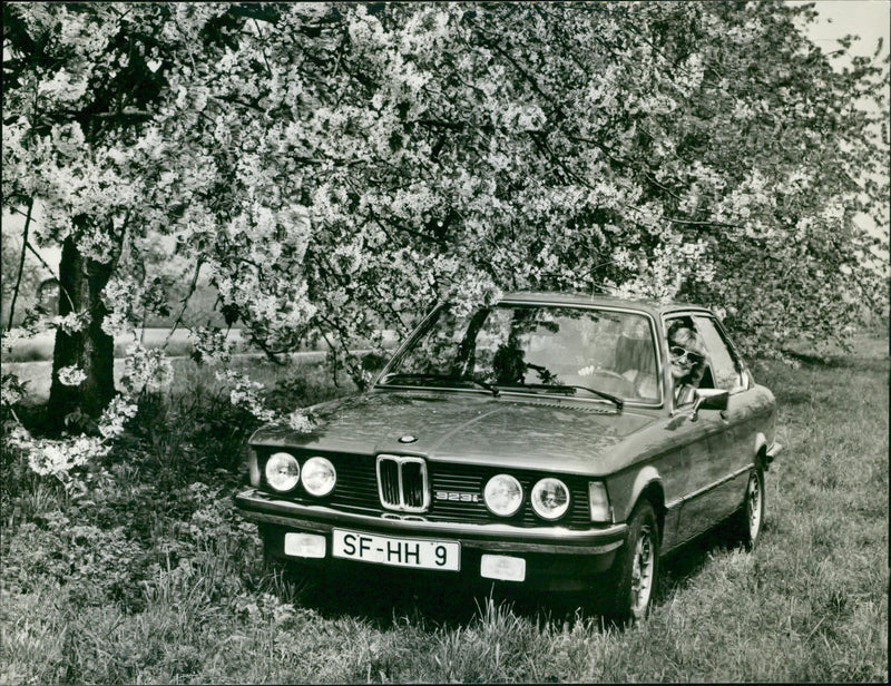 BMW 323i - Vintage Photograph