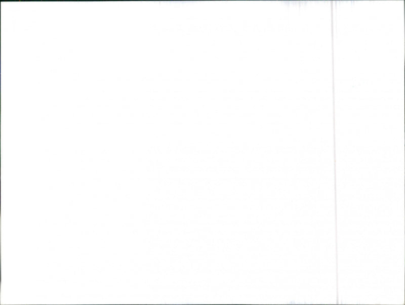 Datsun Cherry - Vintage Photograph