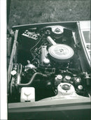 Datsun Cherry - Vintage Photograph