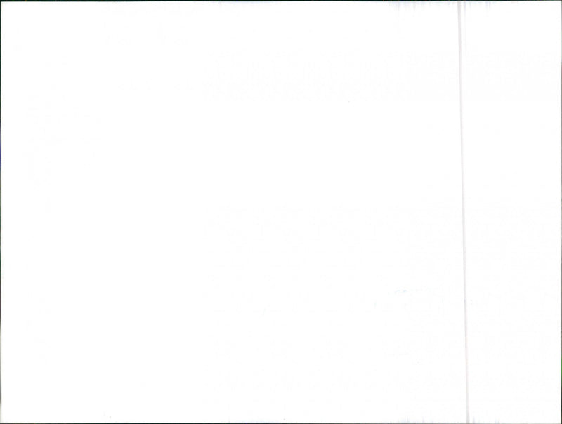 Datsun Cherry - Vintage Photograph