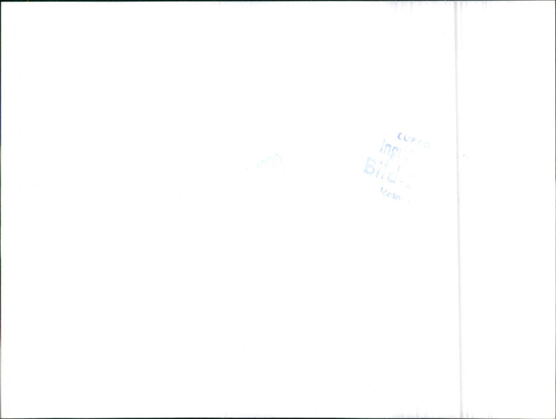 Datsun Cherry - Vintage Photograph