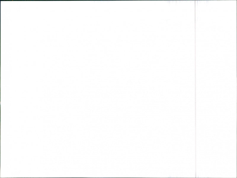 Datsun Cherry - Vintage Photograph