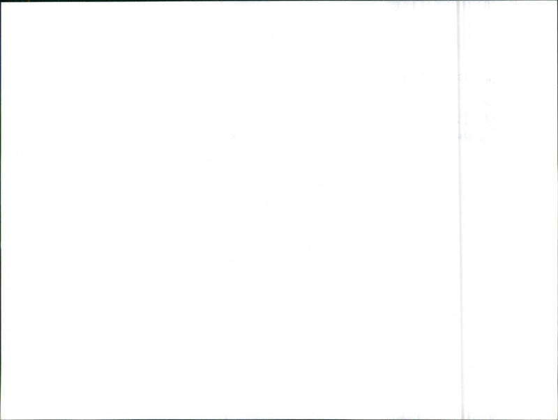 Datsun Cherry - Vintage Photograph