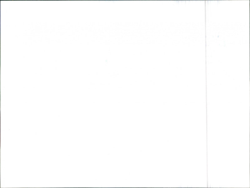 Datsun Cherry - Vintage Photograph