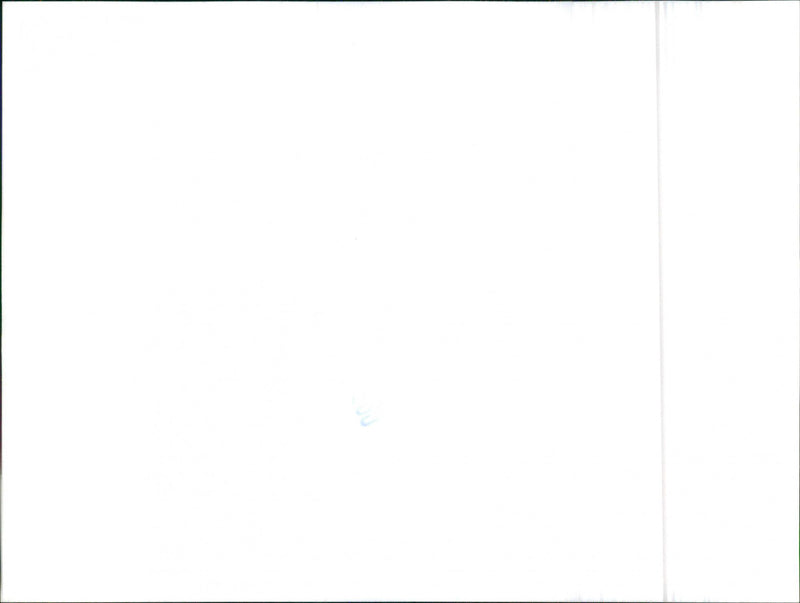 Datsun Cherry - Vintage Photograph