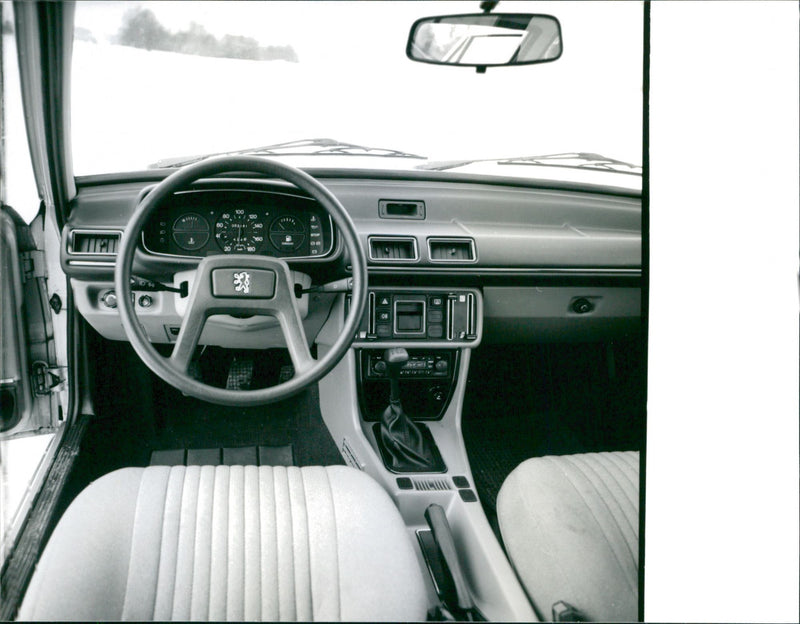 Peugeot 505 GL - Vintage Photograph