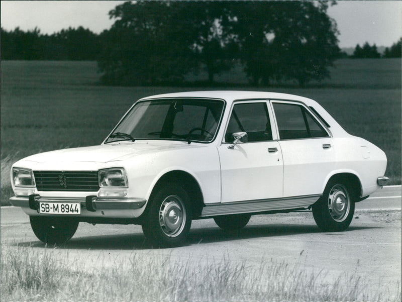 Peugeot 504 L - Vintage Photograph