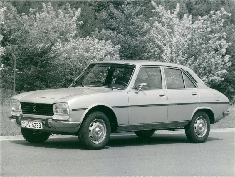 Peugeot 504 GL - Vintage Photograph