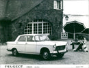 1973 Peugeot 404 Berline - Vintage Photograph