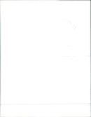 1983 Peugeot 205 GL - Vintage Photograph