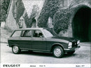 1977 Peugeot 304 Break SL - Vintage Photograph