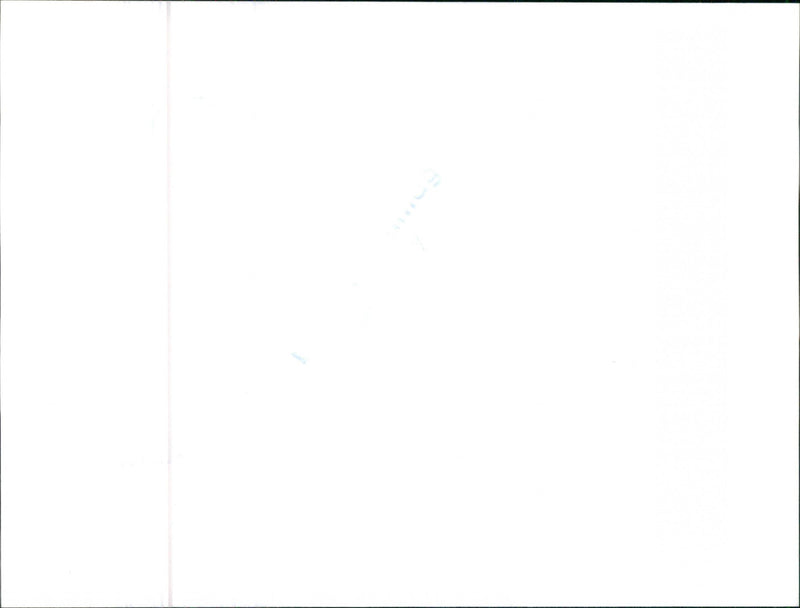 Audi 100 CD - Vintage Photograph