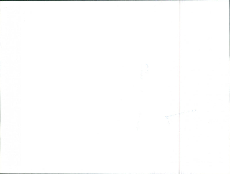 Audi 100 CD - Vintage Photograph