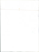 Audi 80 GLE - Vintage Photograph