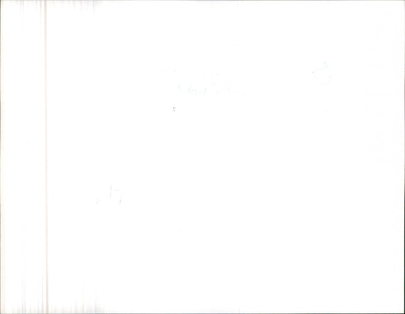 Nissan Datsun 180B - Vintage Photograph