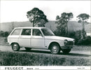 Peugeot 204 Break 1973 - Vintage Photograph