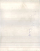 1977 Peugeot 504 Back View - Vintage Photograph