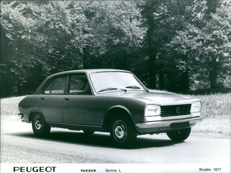Peugeot 504 Berline L - Vintage Photograph