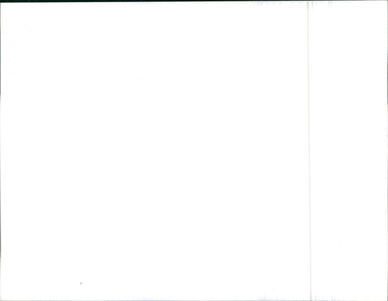 Mitsubishi Colt II - Vintage Photograph