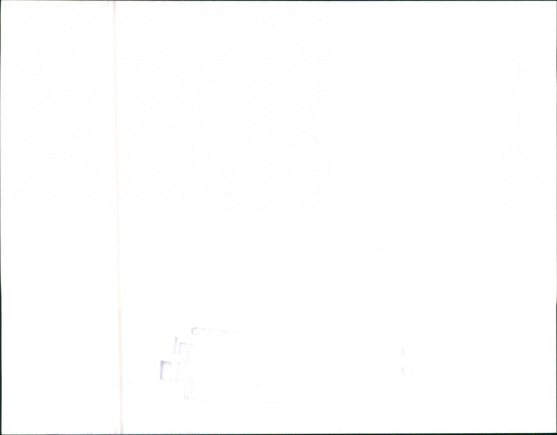 Mercedes Benz - Vintage Photograph