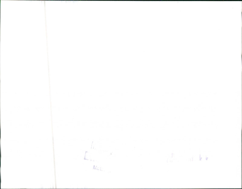 Mercedes Benz 190 D - Vintage Photograph