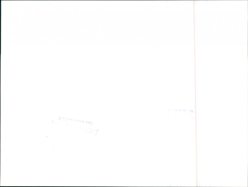 Mercedes Benz - Vintage Photograph