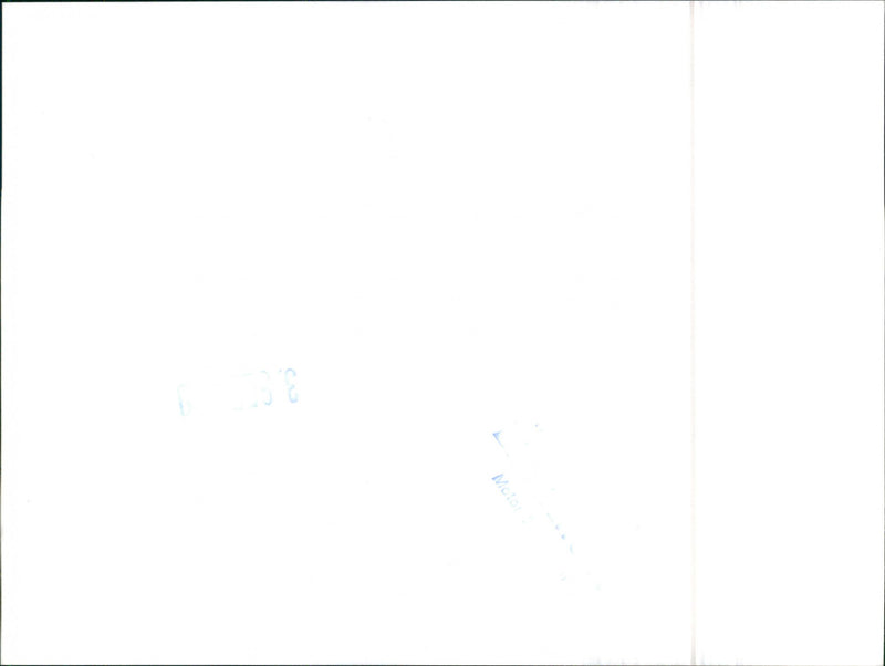 Mercedes Benz - Vintage Photograph