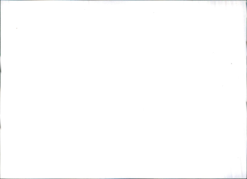 Datsun Violet 160 J Sedan - Vintage Photograph