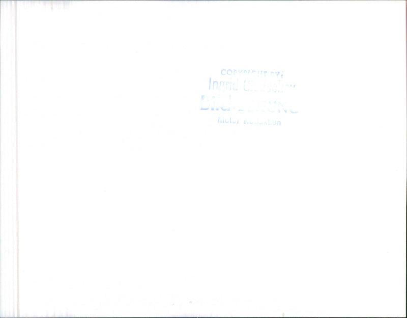 Mercedes Benz - Vintage Photograph