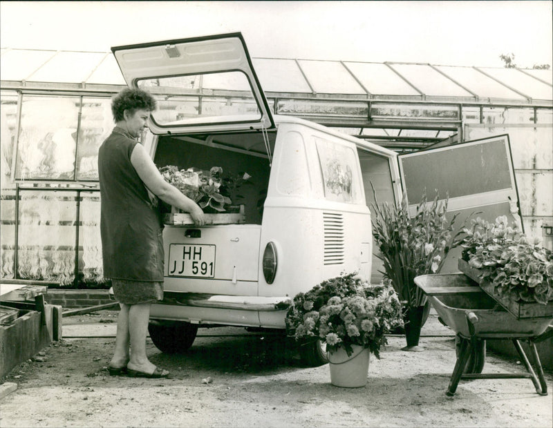 Fiat - Vintage Photograph