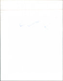 Fiat - Vintage Photograph