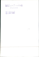 BMW 2800 CS - Vintage Photograph