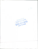 Renault Various Car. - Vintage Photograph