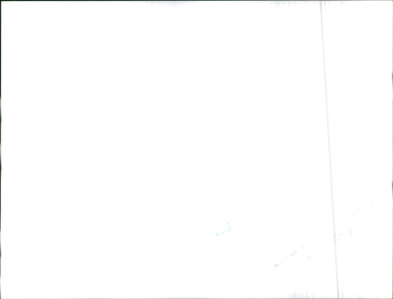 Audi. - Vintage Photograph