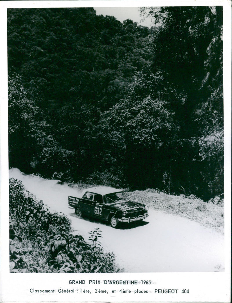 Peugeot 404 - Vintage Photograph
