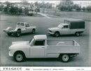 1968 Peugeot 404 Camionnette Bachee and Plateau Cabine - Vintage Photograph