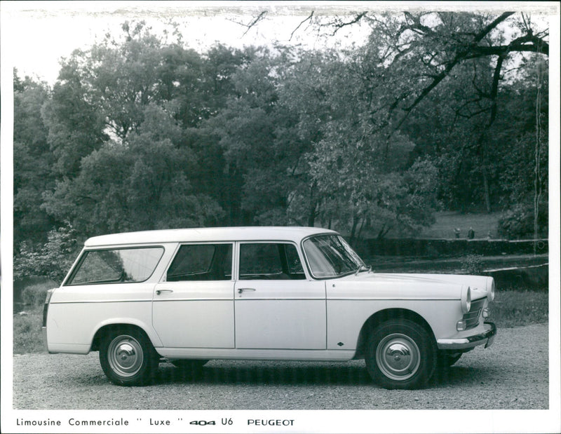1965 Peugeot 404 Break Super Luxe - Vintage Photograph