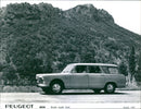 1969 Peugeot 404 Break Super Luxe - Vintage Photograph