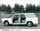 1969 Peugeot 404 Grand Luxe - Vintage Photograph