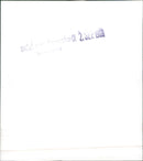 Mercedes-Benz - Vintage Photograph