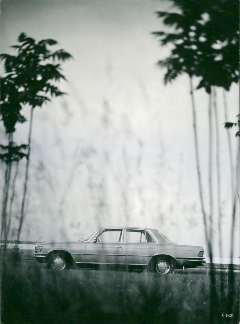 Side View of 1972 Mercedes-Benz S Class - Vintage Photograph