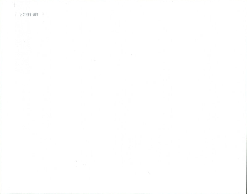 Gulf War Parade - Vintage Photograph