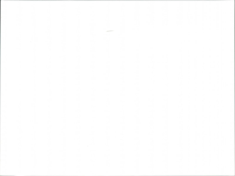 Gulf War Parade - Vintage Photograph