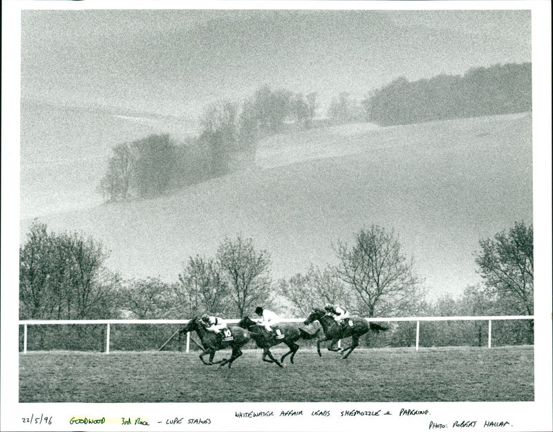 Goodwood 3rd Race - Vintage Photograph